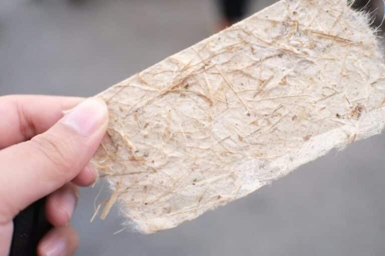 Écorce de bois tenue dans une main