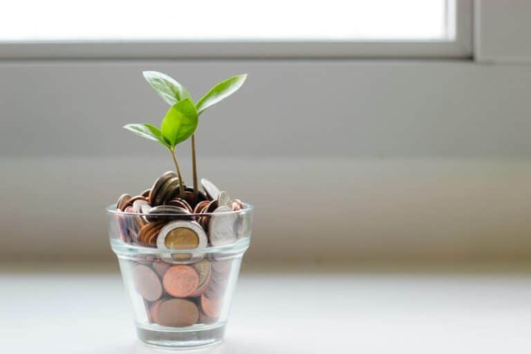 Un verre avec des pièces et une plante qui pousse à l'interieur
