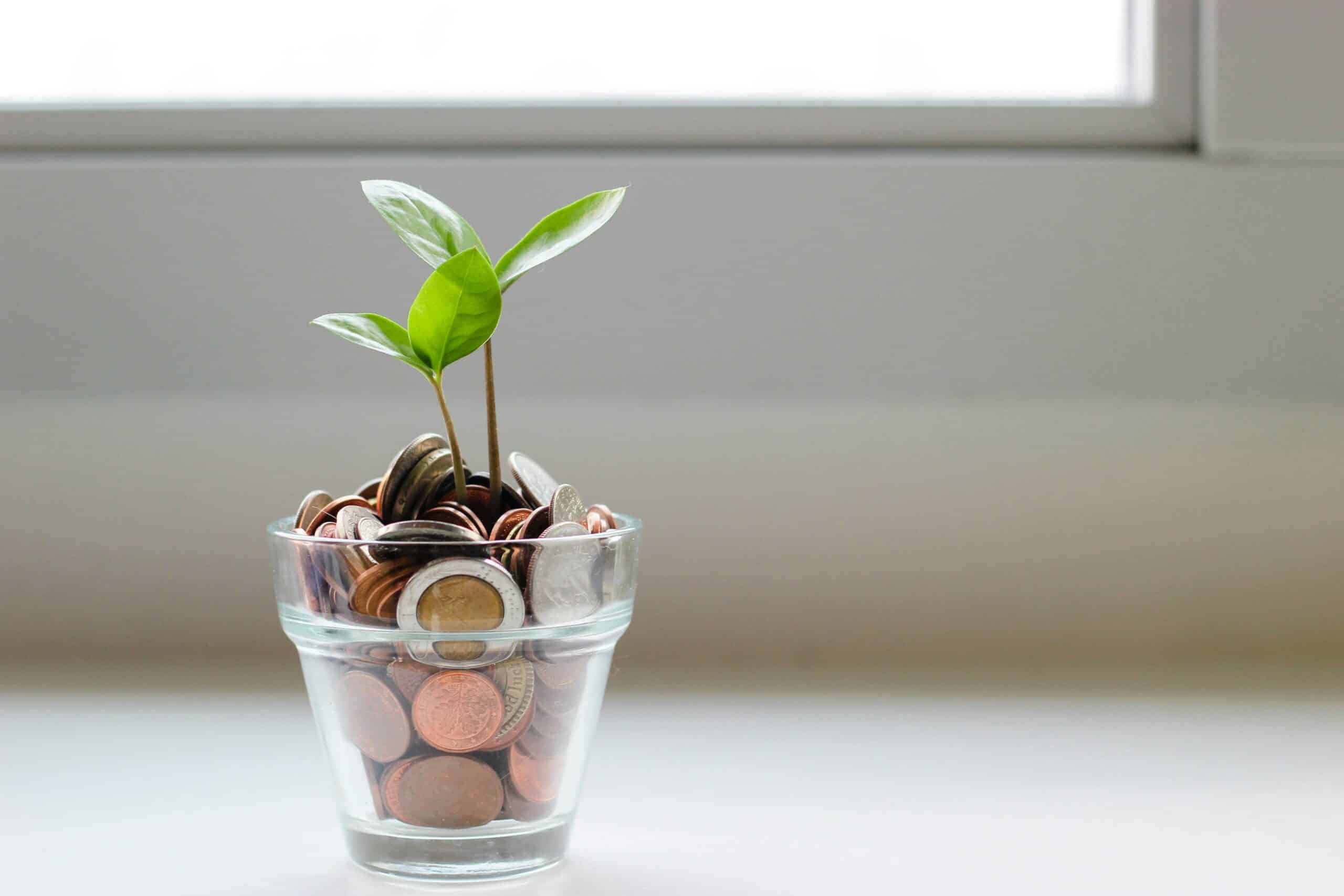 Un verre avec des pièces et une plante qui pousse à l'interieur