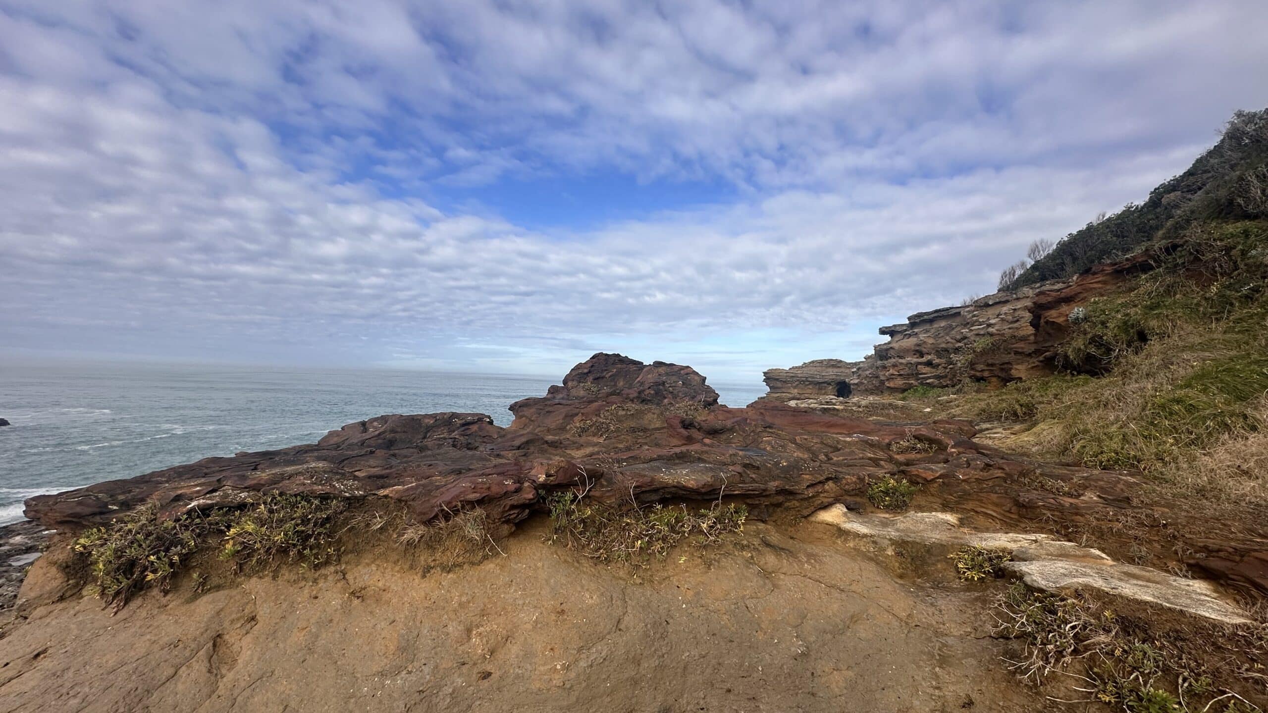 Biodiversité Biarritz Océan